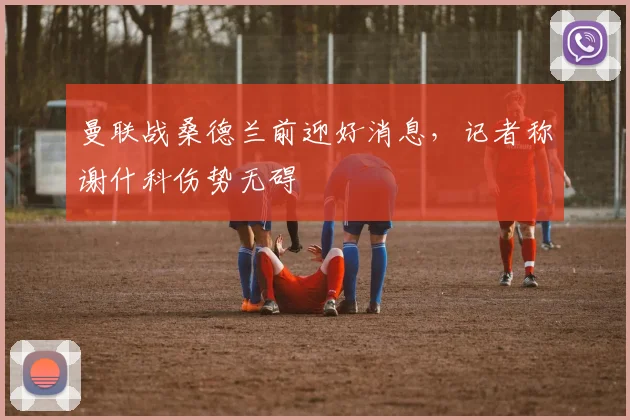曼联战桑德兰前迎好消息，记者称谢什科伤势无碍